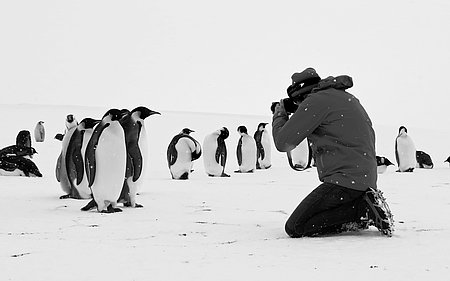 Szenebilder aus dem Film Rückkehr zum Land der Pinguine